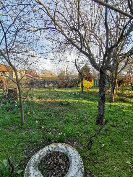 Frumusani, aproape de Bucuresti, casa cu teren 1.000 mp.